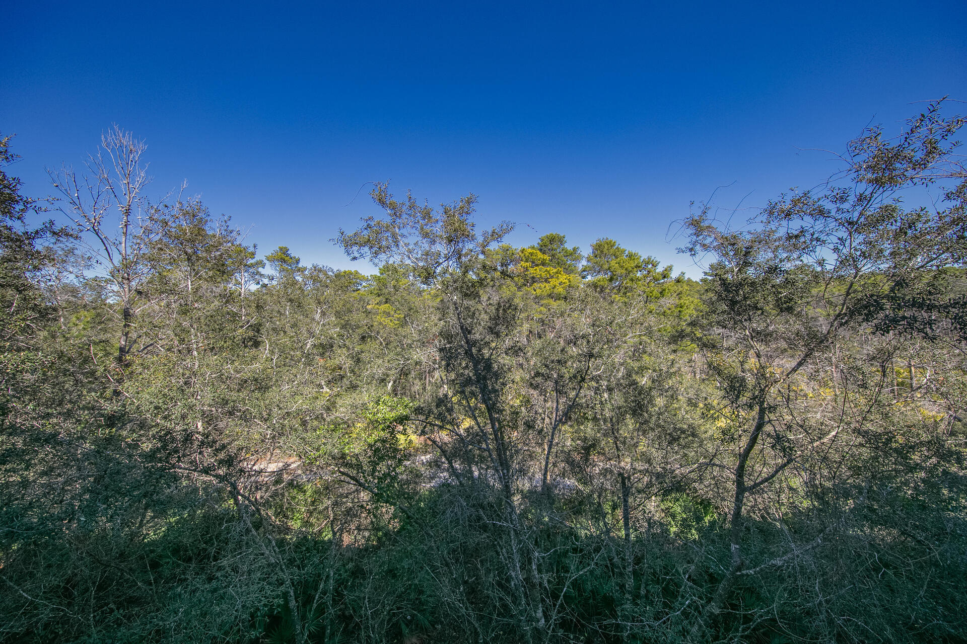 HERONS WATCH CONDO PH 4 - Residential