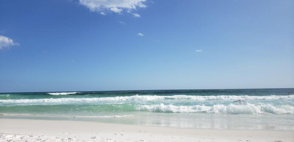 BEACH HOUSE CONDO PH 1 - Residential
