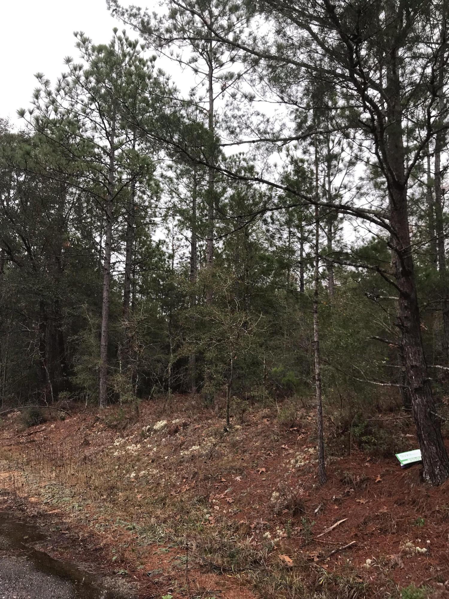 GREAT INVESTMENT OPPORTUNITY!!!!! FOUR quarter acre lots that can be sold individually or bundled together as two lots, three lots or all four lots. There is paved road frontage for two of the lots which are on E Tiger Lily Ln, the back two lots are on E Marigold Ave. Priced to SELL!!!! Check out this level quarter acre lot on a PAVED road that is ready for you to build or place your manufactured home on. This location is conveniently to I-10 & 285, which makes it convenient to DeFuniak Springs, Crestview & Niceville. Seller has multiple lots available, call today to find out how to bundle and buy more for LESS!