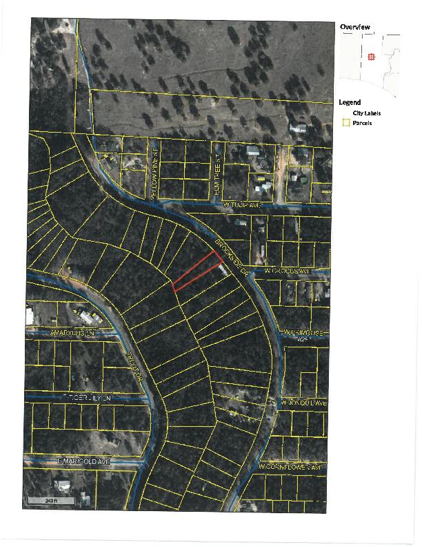 Peace and quiet with easy access to Defuniak Springs, Crestview and I 10.  Nice buildable lot on paved Rd. This is a wooded natural lot you can create your own vision.