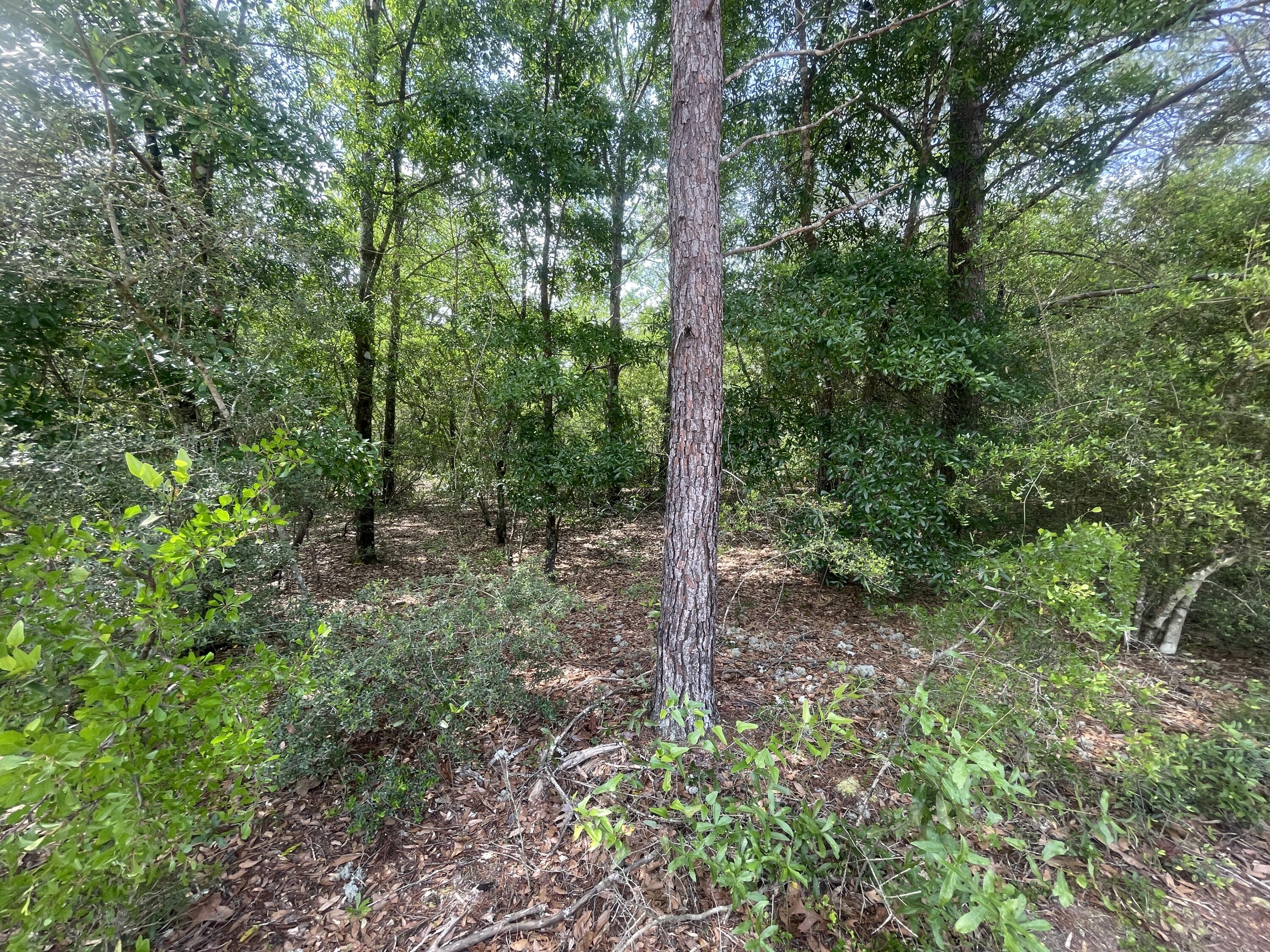 OAKWOOD HILLS UNIT 3 - Land