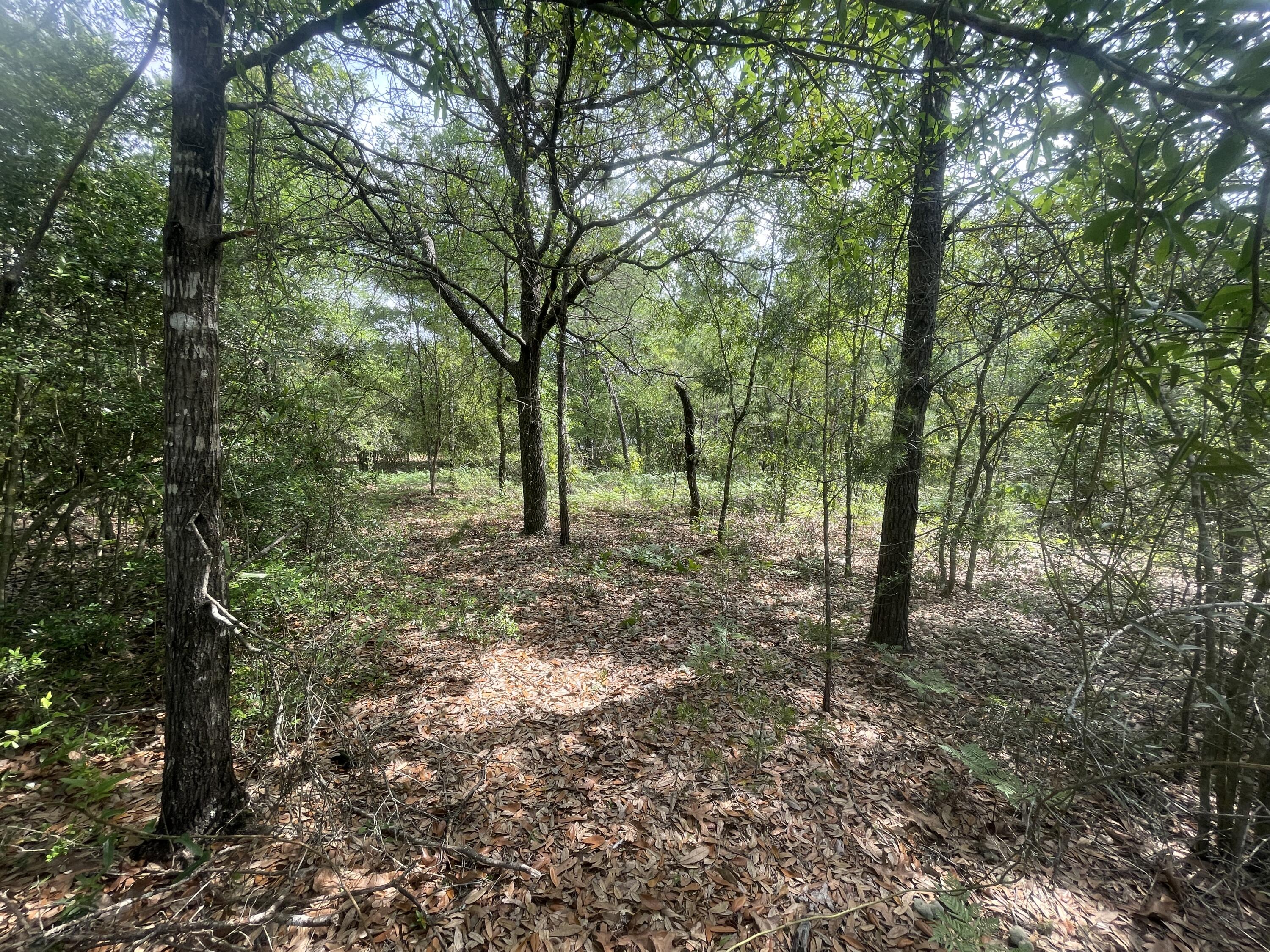 This double lot in Mossy Head/ Defuniak Springs offers almost a half acre of space to create your new home or a place for your manufactured or mobile home with the flexibility of no HOA and room for boat parking, shed, or workshop.  Quick and easy access to the town center of Defuniak Springs to the East and 1-10 access about 4 miles to the West.  Public water is available with tap fees due and a septic tank would be required.  Survey will be provided by the seller once completed.