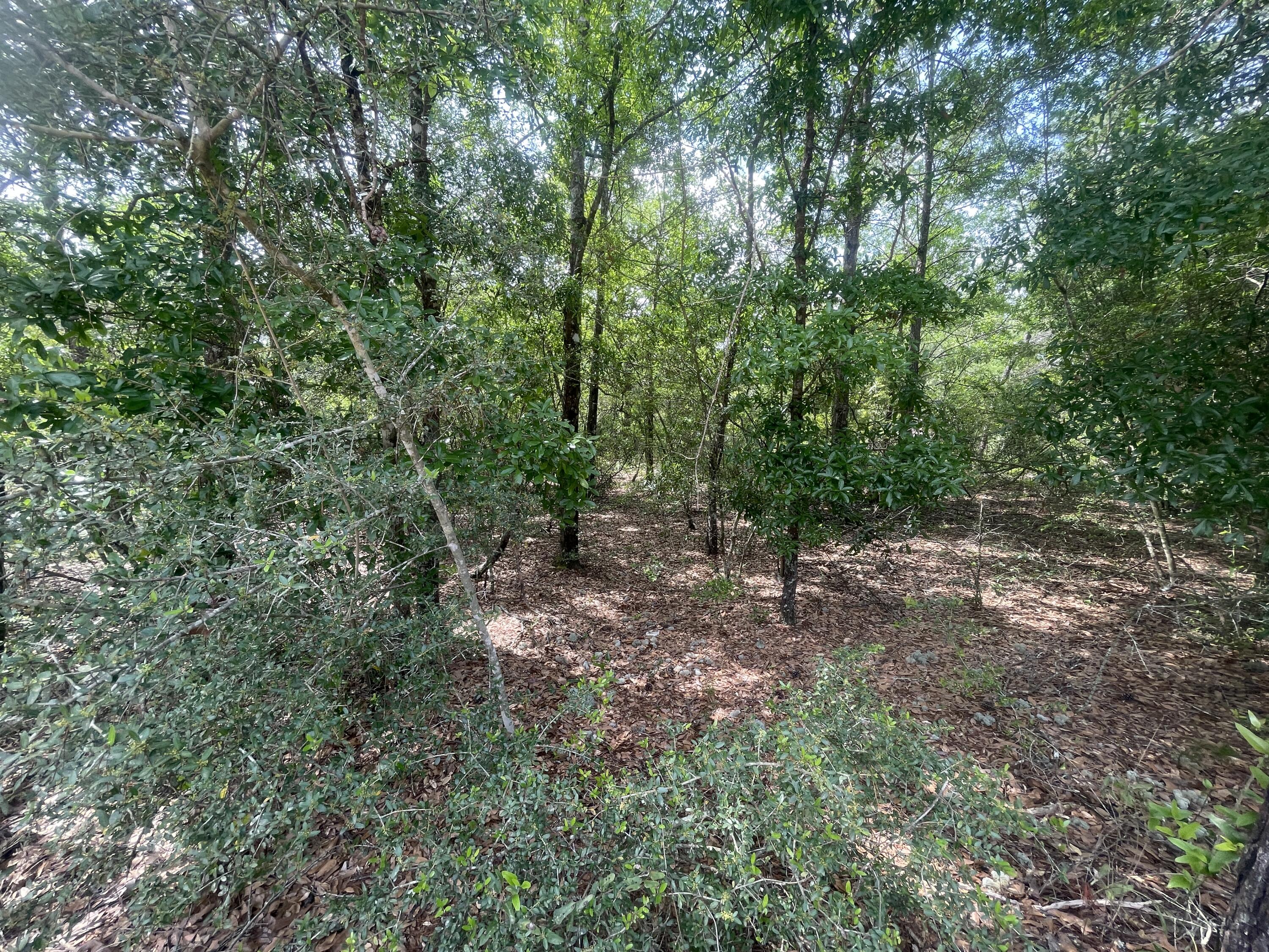 OAKWOOD HILLS UNIT 3 - Land