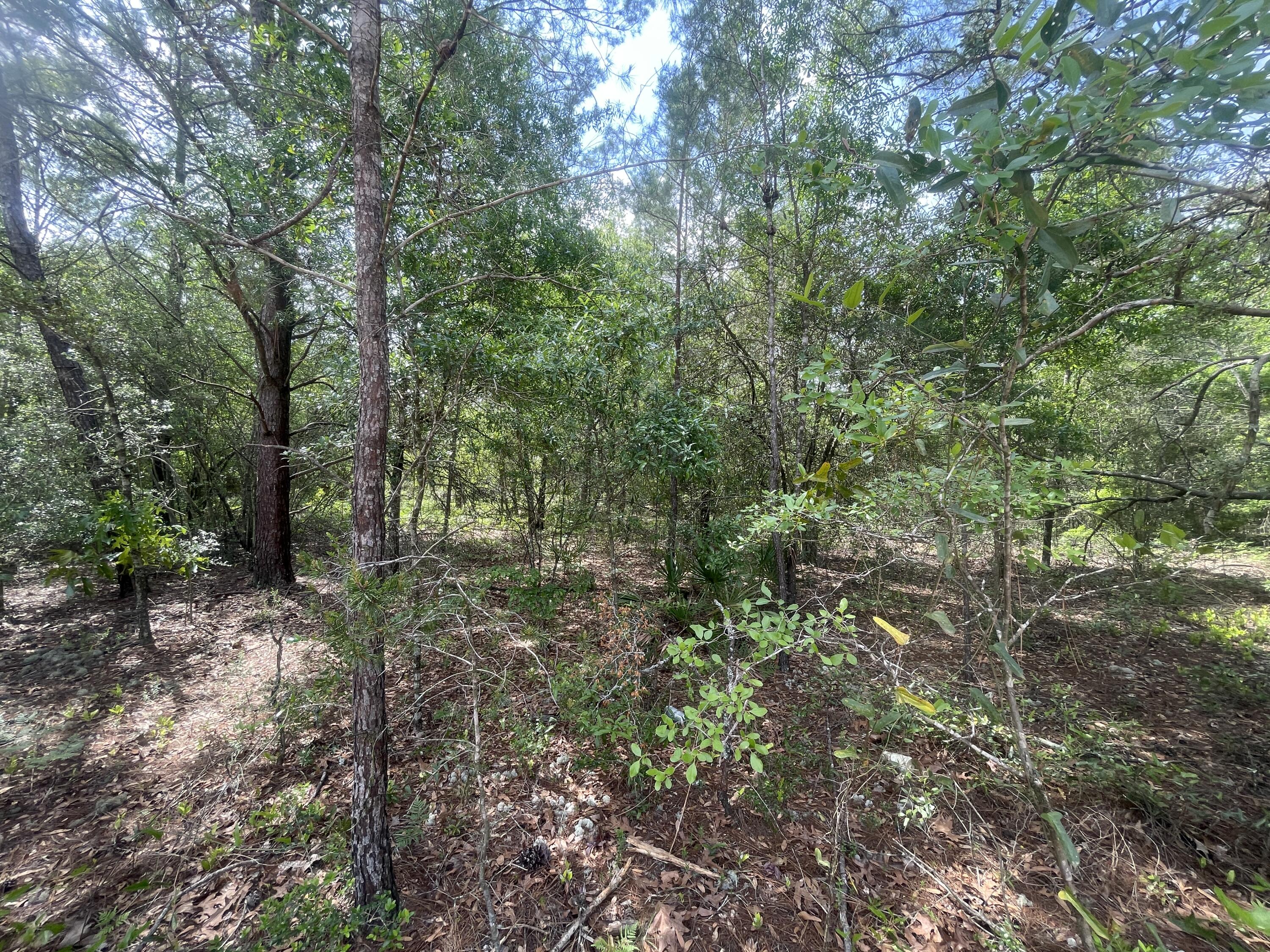 OAKWOOD HILLS UNIT 3 - Land