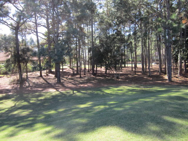 ISLAND GREEN - Land