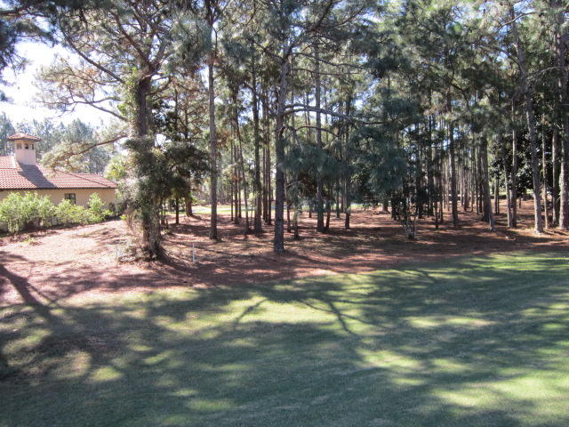 ISLAND GREEN - Land