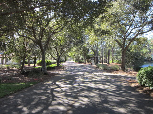 ISLAND GREEN - Land