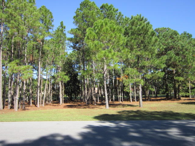ISLAND GREEN - Land