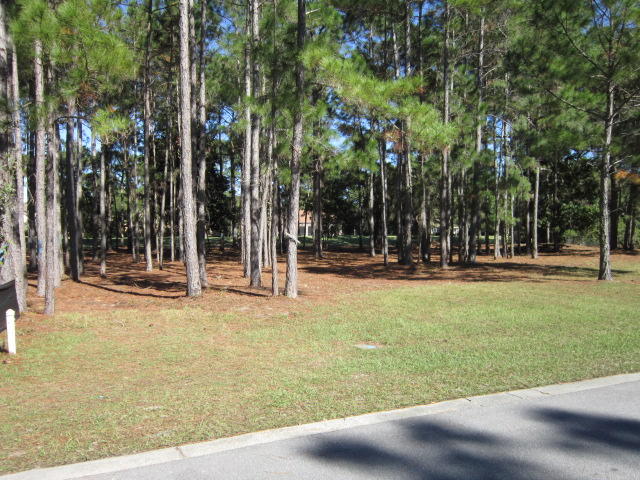 ISLAND GREEN - Land