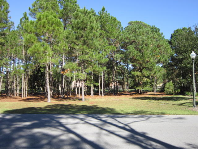 ISLAND GREEN - Land
