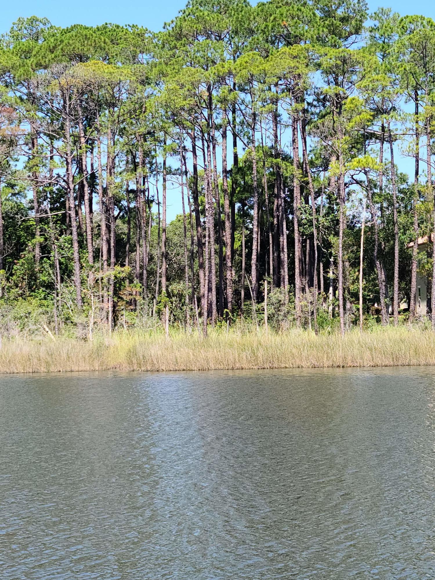 BOTANY BAYOU - Land
