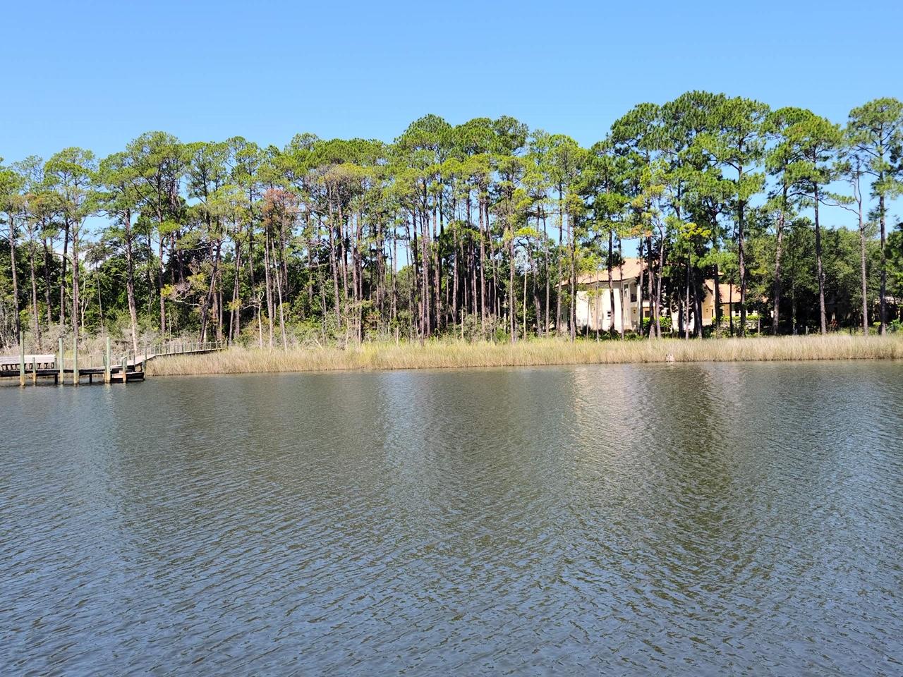 BOTANY BAYOU - Land