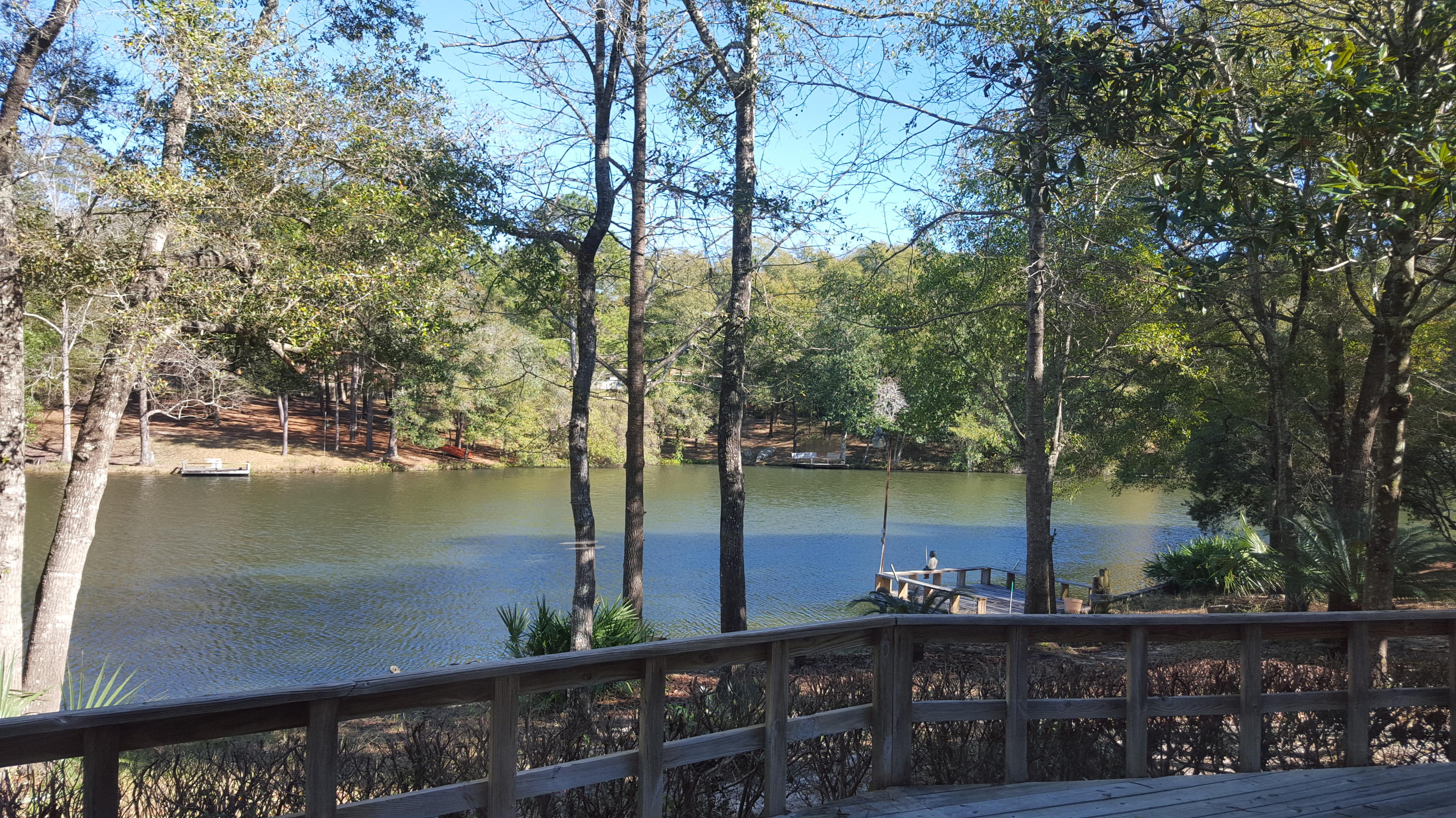 Available for immediate move in! Located in the highly sought after neighborhood of Rocky Bayou, this spacious home is nestled serenely above Lake Amick with astonishing views of the lake and Rocky Bayou golf course. Privately tucked among beautiful mature oaks, and located on a cul-de-sac, this one is a retreat unto itself. A large spacious home with formal living & dining, family room plus FOUR bedrooms. Freshly painted throughout. Owner has just completed remodeling in the half and upstairs bathrooms. Lawn service included in rental rate. Pet may be allowed with owner approval and $400 pet fee. No smoking.