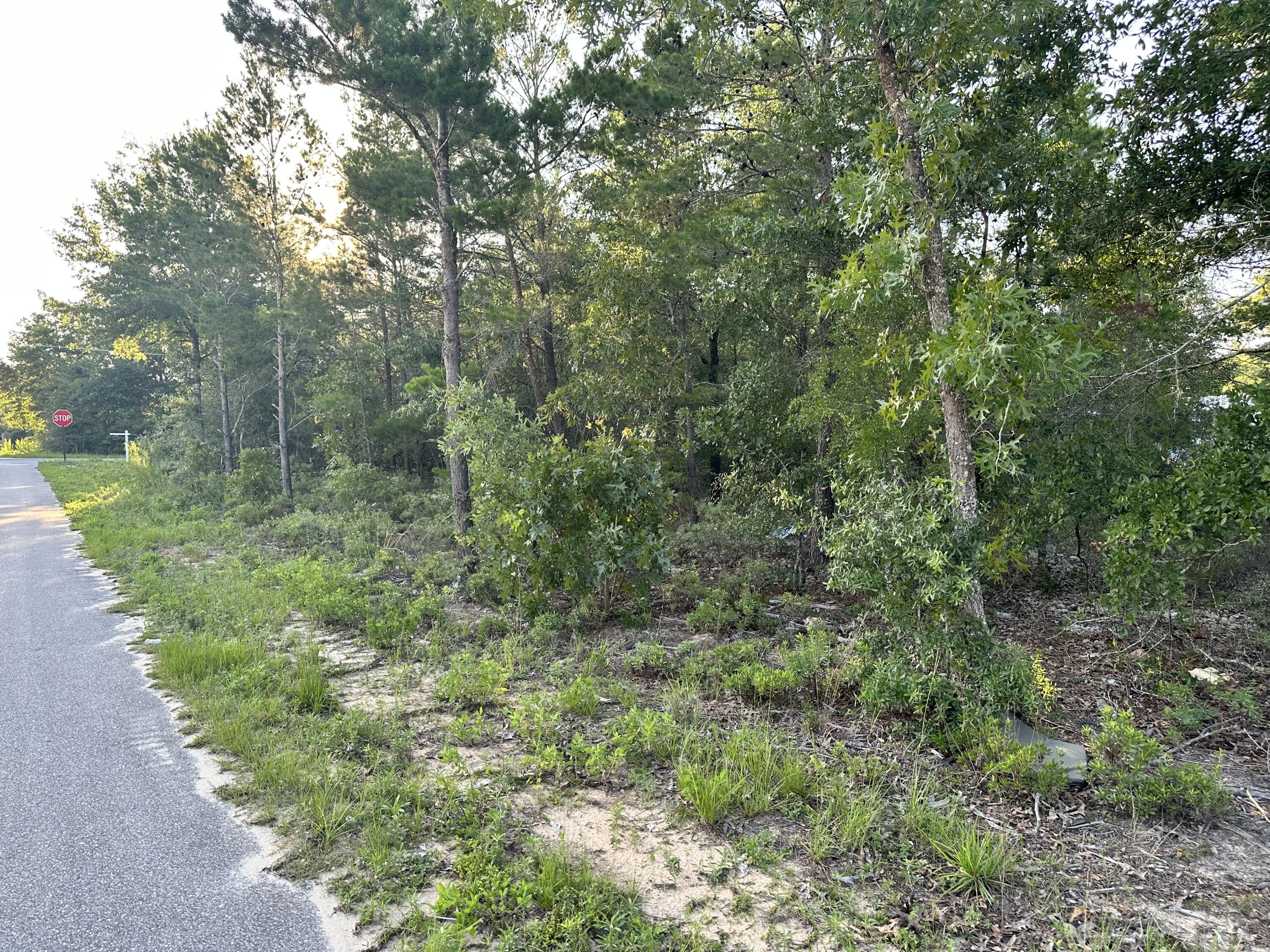 OAKWOOD LAKES ESTATES - Land