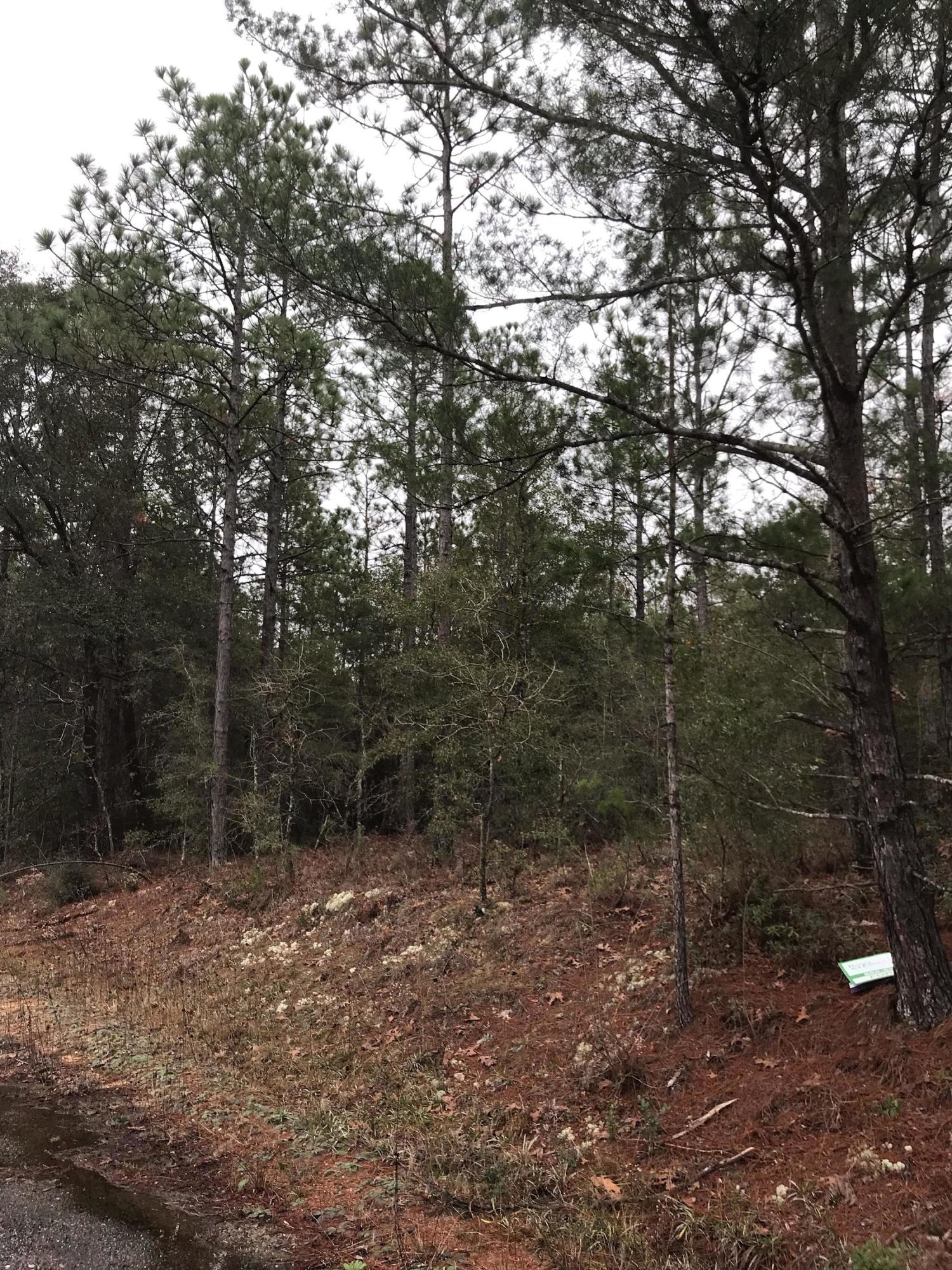 Priced to SELL!!!! Check out this level quarter acre lot on a PAVED road that is ready for you to build or place your manufactured home on. This location is conveniently to I-10 & 285, which makes it convenient to DeFuniak Springs, Crestview & Niceville. Seller has multiple lots available, call today to find out how to bundle and buy more for LESS!