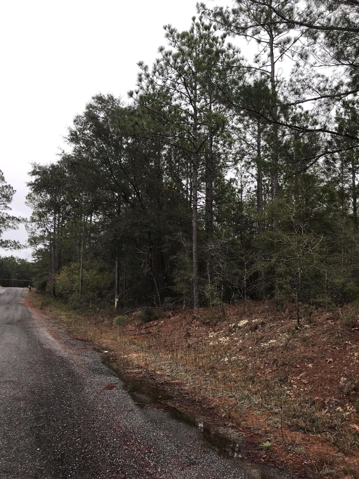 OAKWOOD HILLS UNIT 1 - Land
