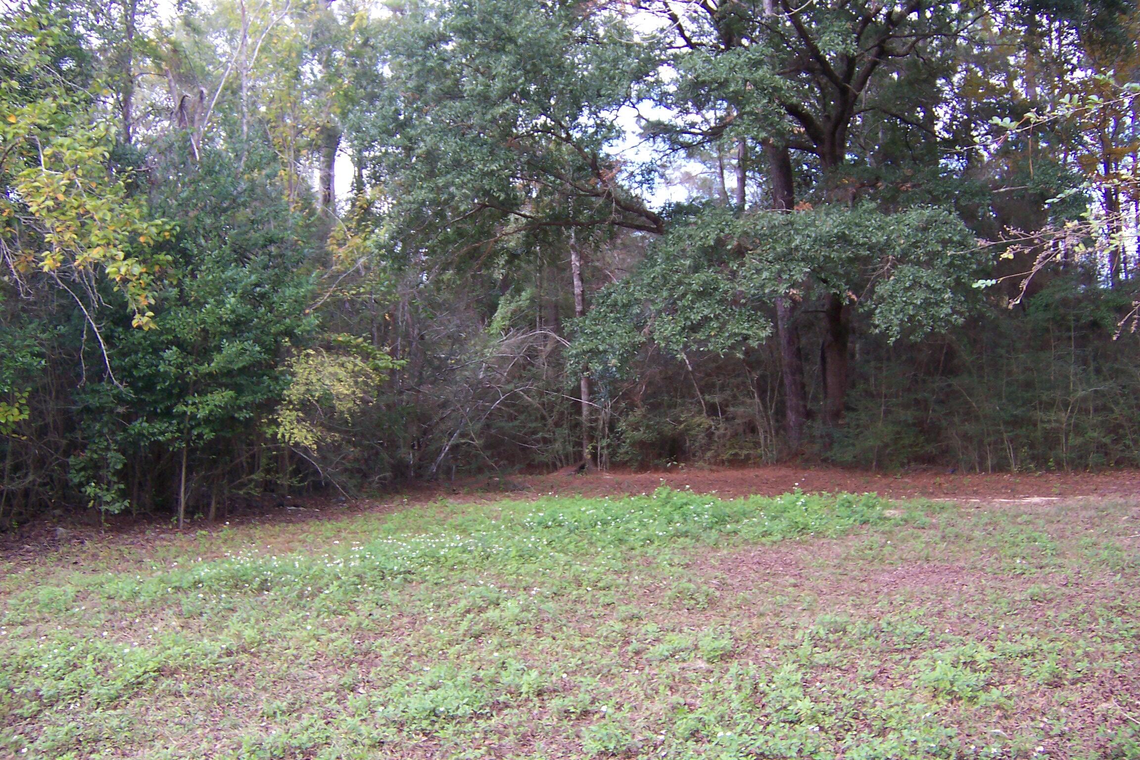 Approximately 40 gorgeous acres just south of I10 off Coy Burgess Loop. Mostly wooded with a few trails carved in. There was an old mobile on the property that was destroyed, so there is an old septic tank on the property and a deep well. All kinds of wildlife on the property make it a hunters dream. Nice flowing stream thru the property adds character and endless possibilities. Several beautiful homesites and pond sites. 5 minutes from Walmart. 20 minutes to Freeport.