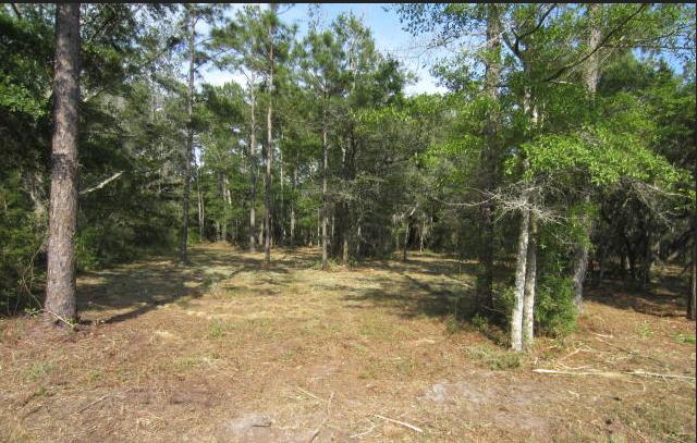 MALLET BAYOU REACH PH 1 - Land