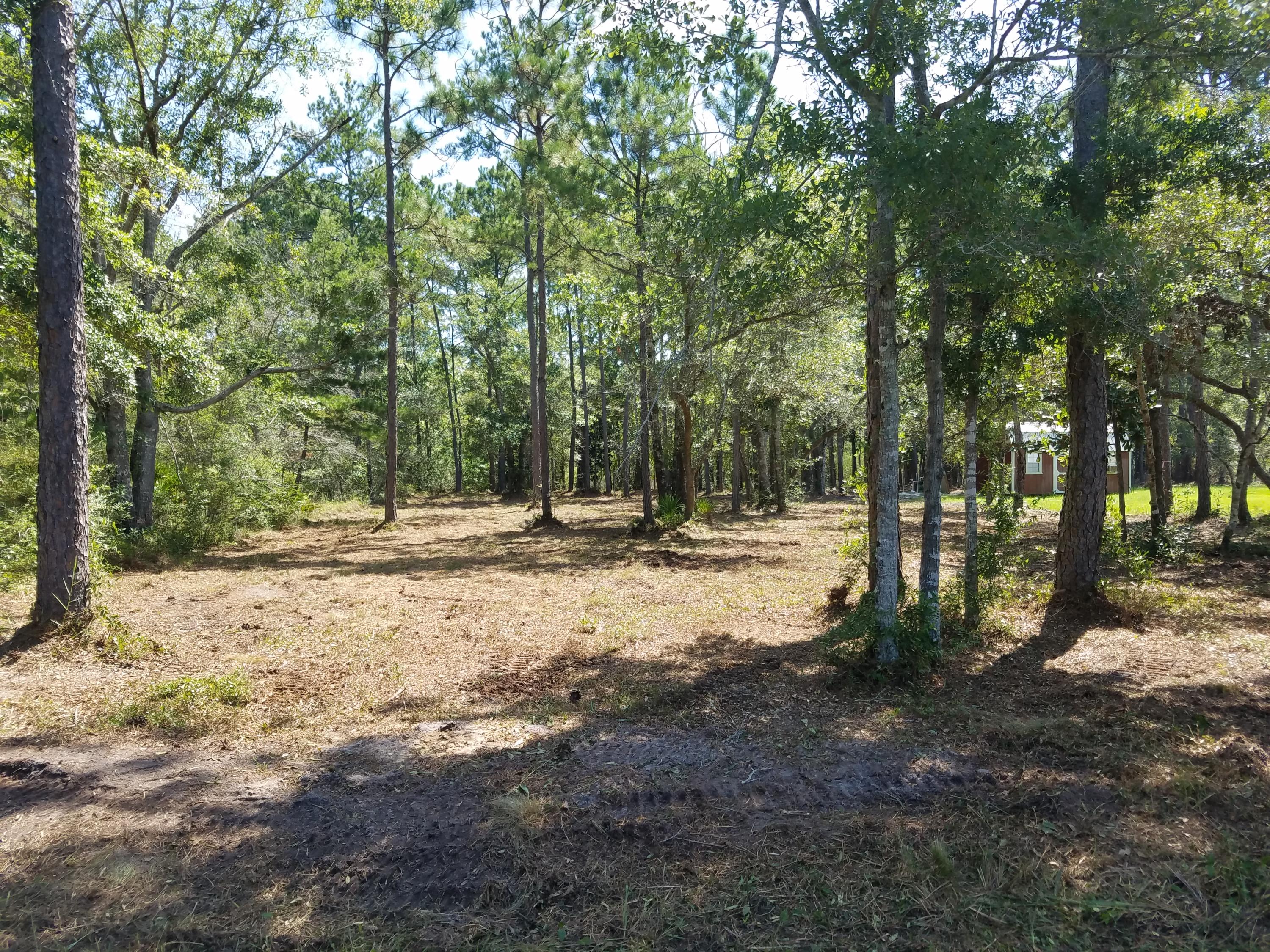 MALLET BAYOU REACH PH 1 - Land