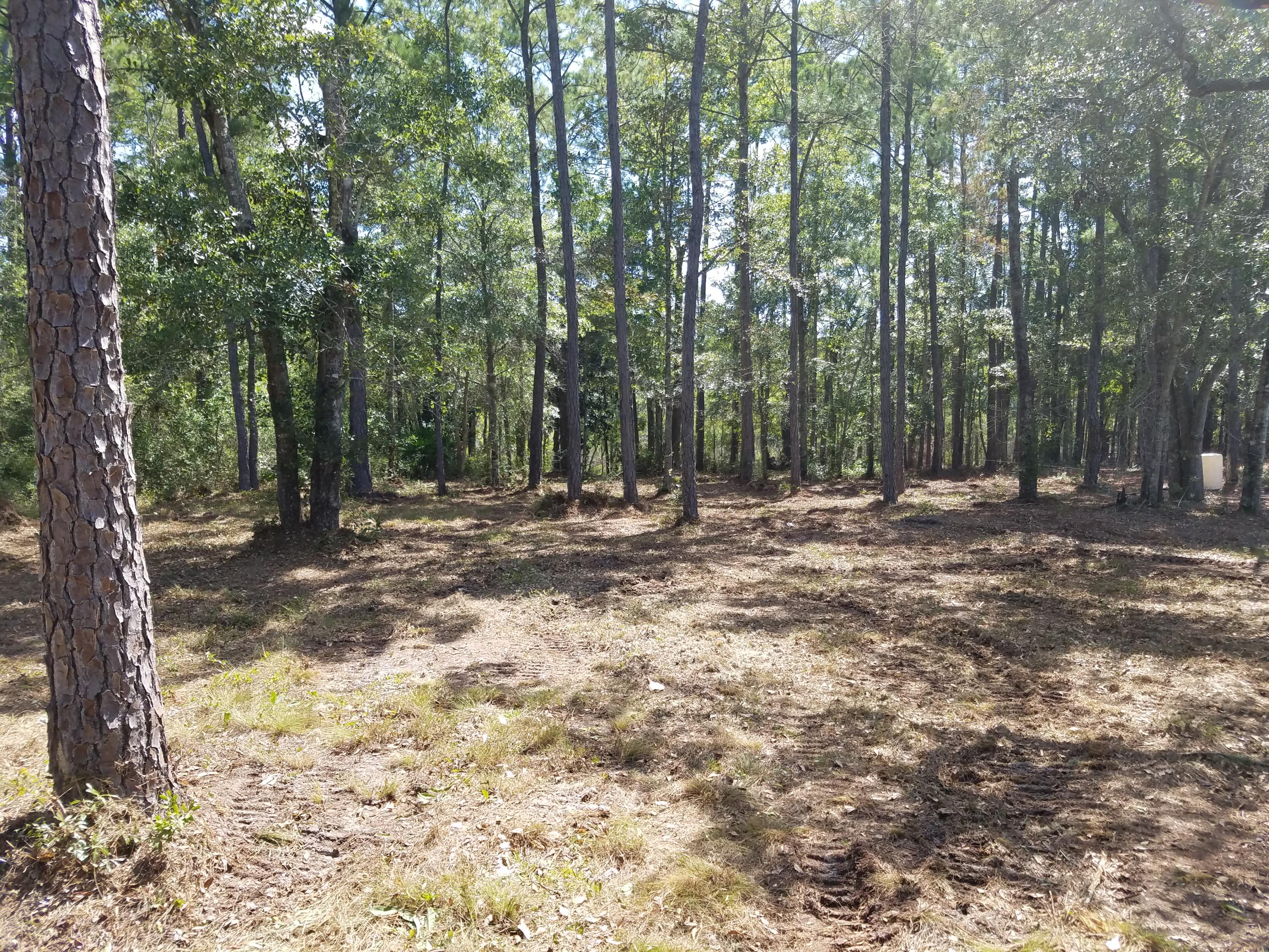 MALLET BAYOU REACH PH 1 - Land