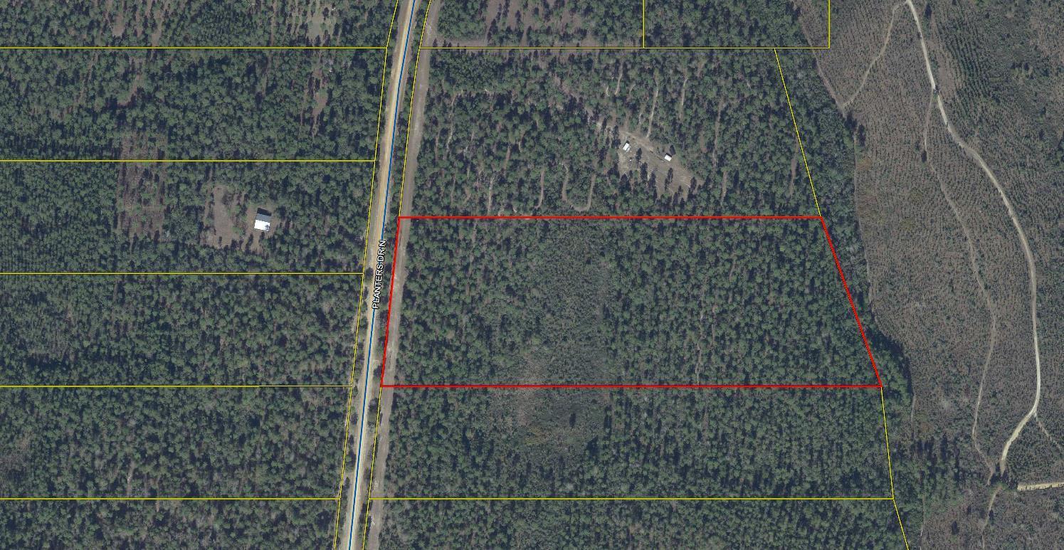 WALTON PLANTATION - Land