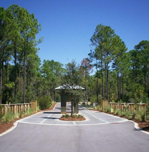 TREETOP - Land