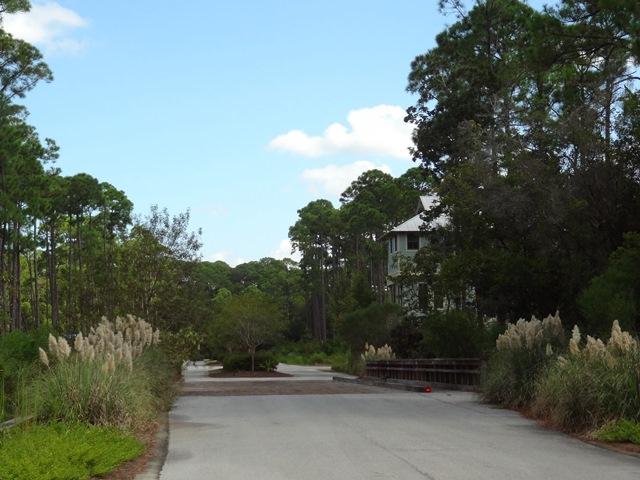 TREETOP - Land