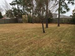 CREETWOODS - Residential Lease