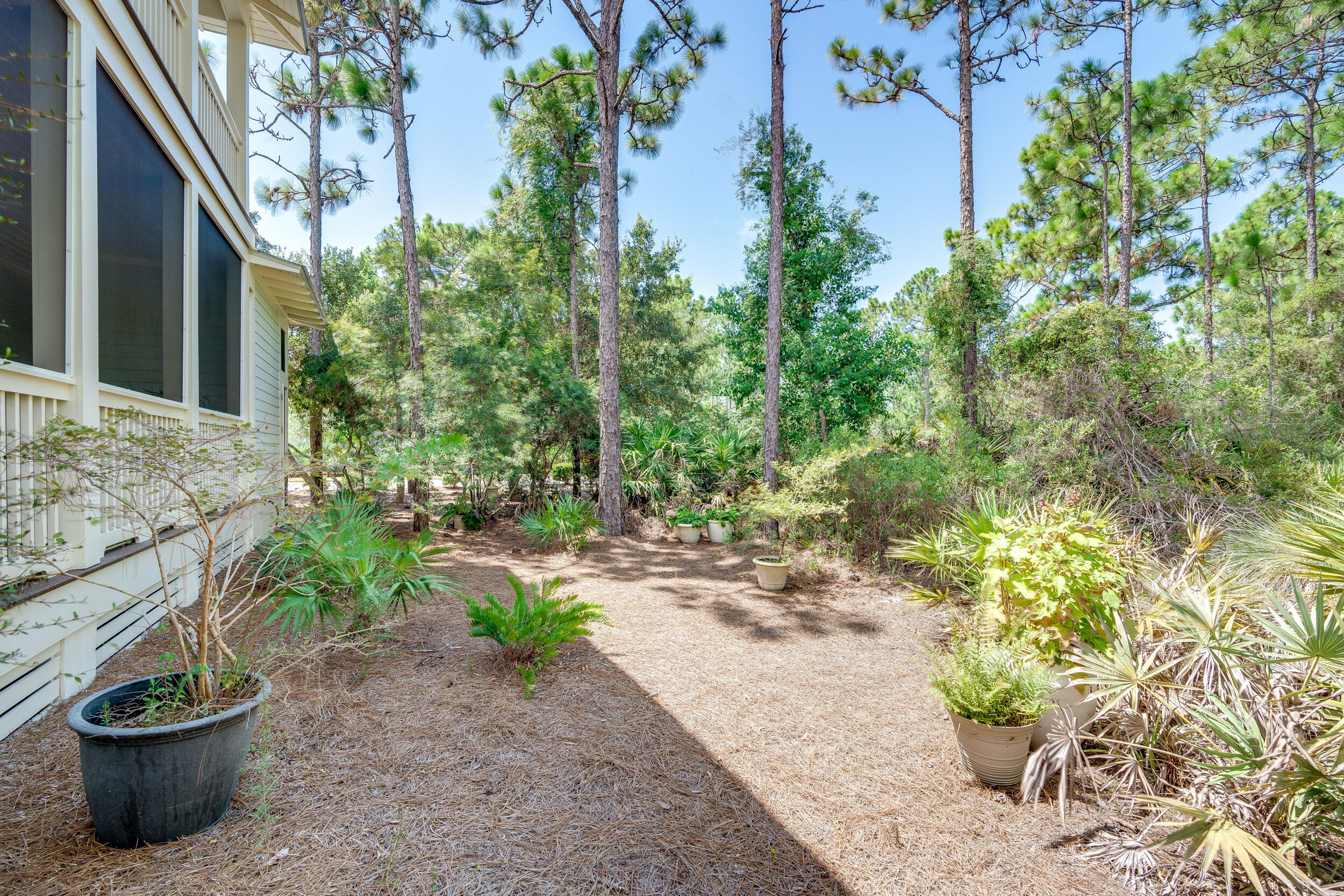 NATUREWALK AT SEAGROVE - Residential