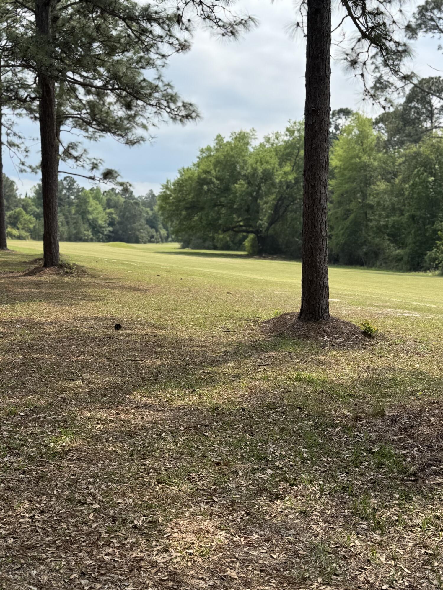 Dogwood Lake Estates - Land