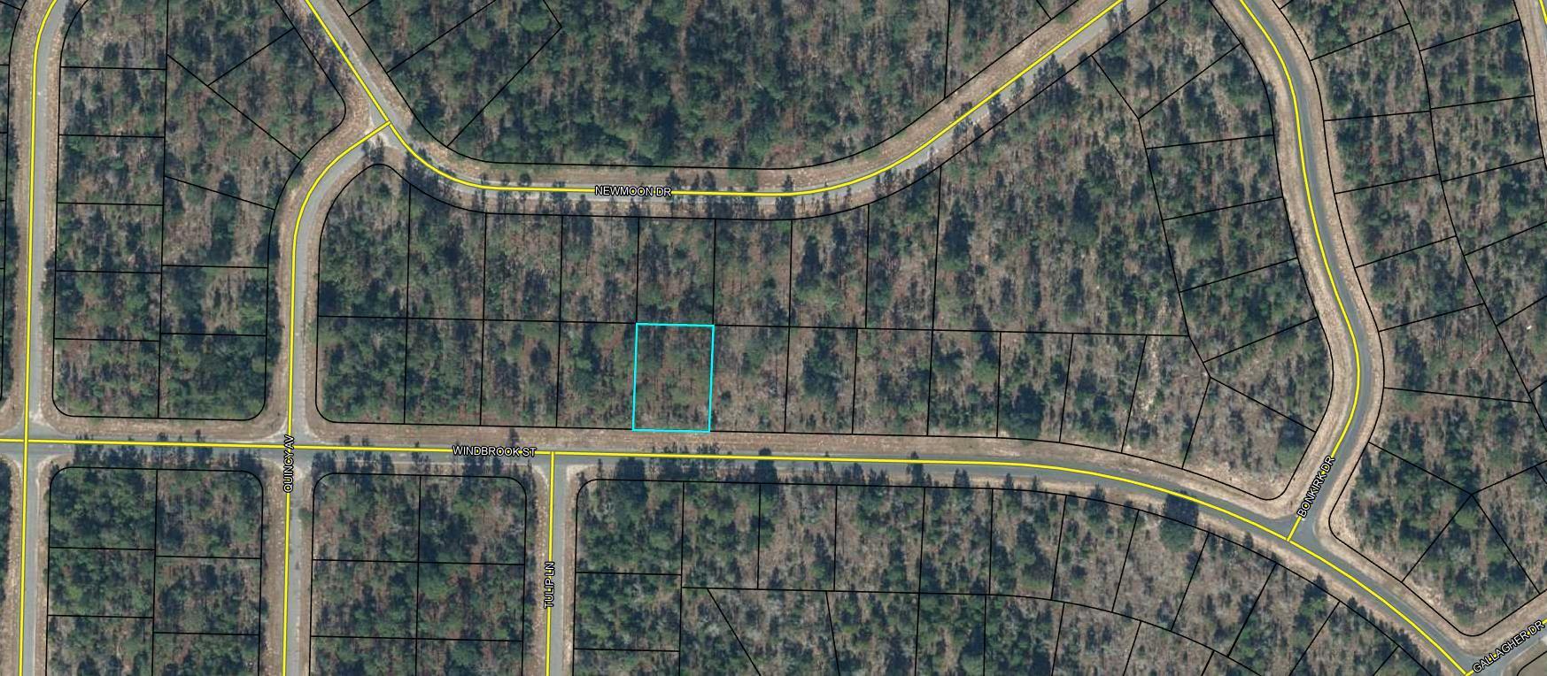 Nice .257 acre lot. Sunny Hills is an established subdivision with over 20K lots and is currently being developed with several national builders. Subdivision offers an 18 hole golf course with Clubhouse, numerous lakes with white sandy beaches for recreational activities such as swimming, boating, and fishing, churches, best of all with NO HOA fees! Need city life? Panama City Beach. Northwest Florida Beaches International Airport, and Pier Park shopping are approximately a 45 minutes drive. Approx. 20 miles from local shopping, medical, and other local amenities in Chipley.