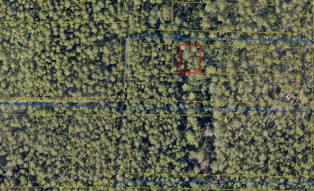 This is a vacant wooded lot in growing Mossy Head.  Currently access to this property is limited, as there are no roads to the property, possibly just some dirt trails. Seller lives out of town and has never seen the property.  Bring us an offer. Sold As Is. Property location, access, and exact dimensions and acreage to be determined by Buyer at Buyer expense. No survey.