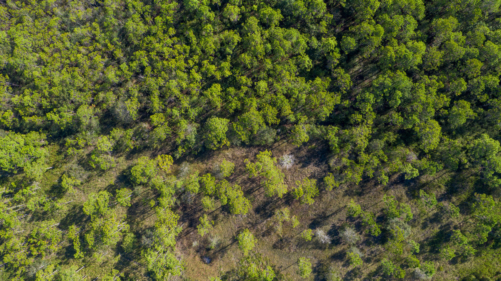NO RECORDED SUBDIVISION - Land