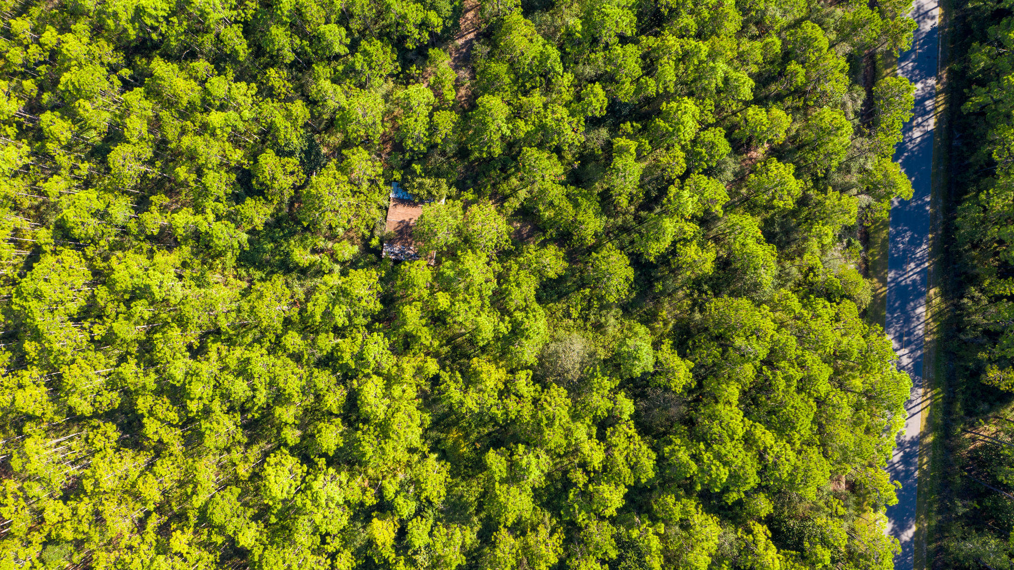 NO RECORDED SUBDIVISION - Land