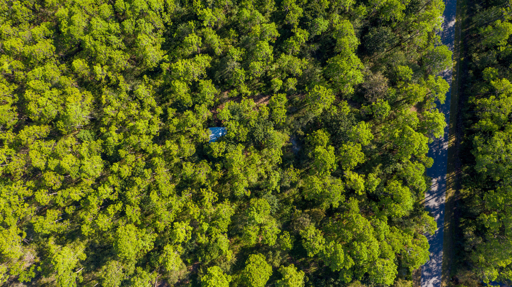 NO RECORDED SUBDIVISION - Land