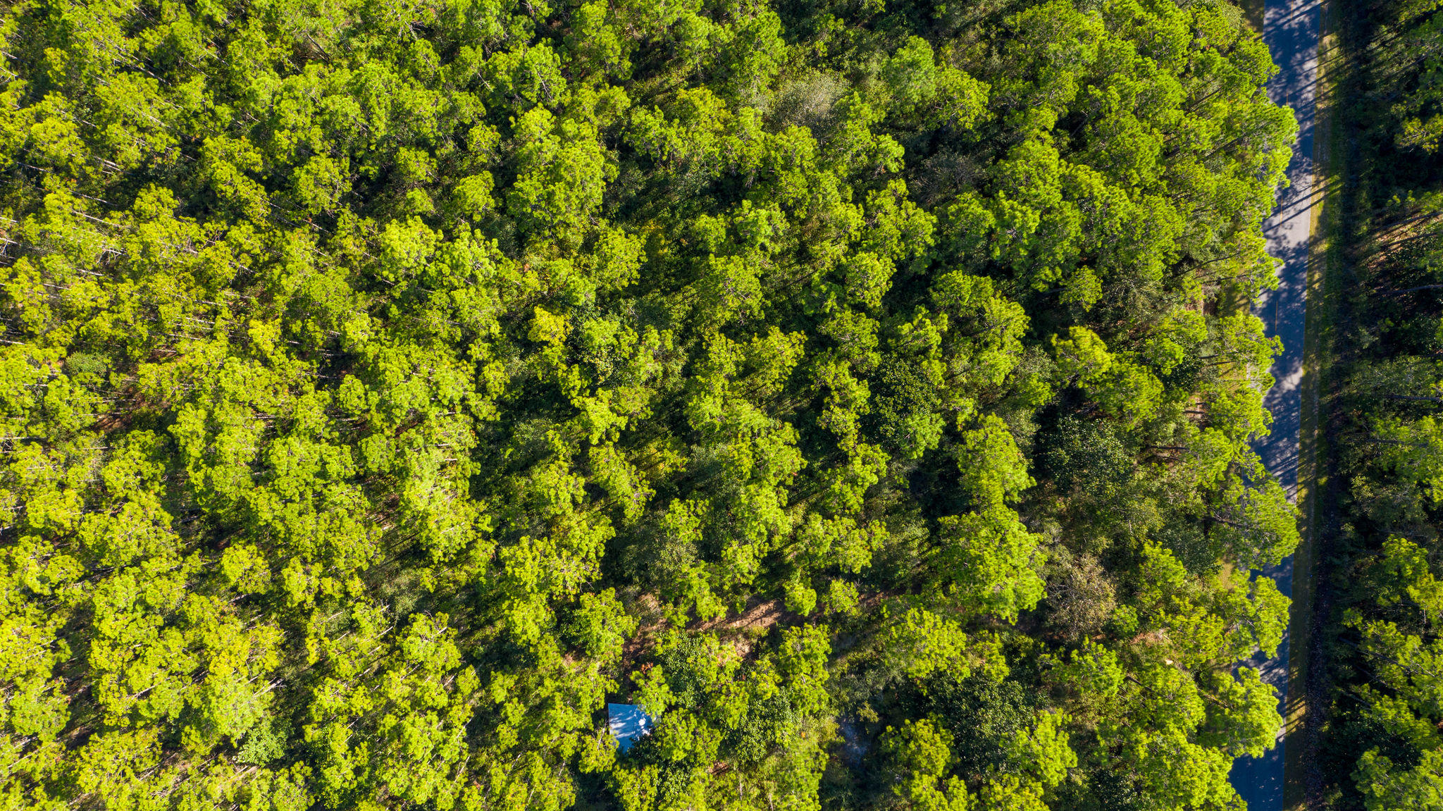 NO RECORDED SUBDIVISION - Land