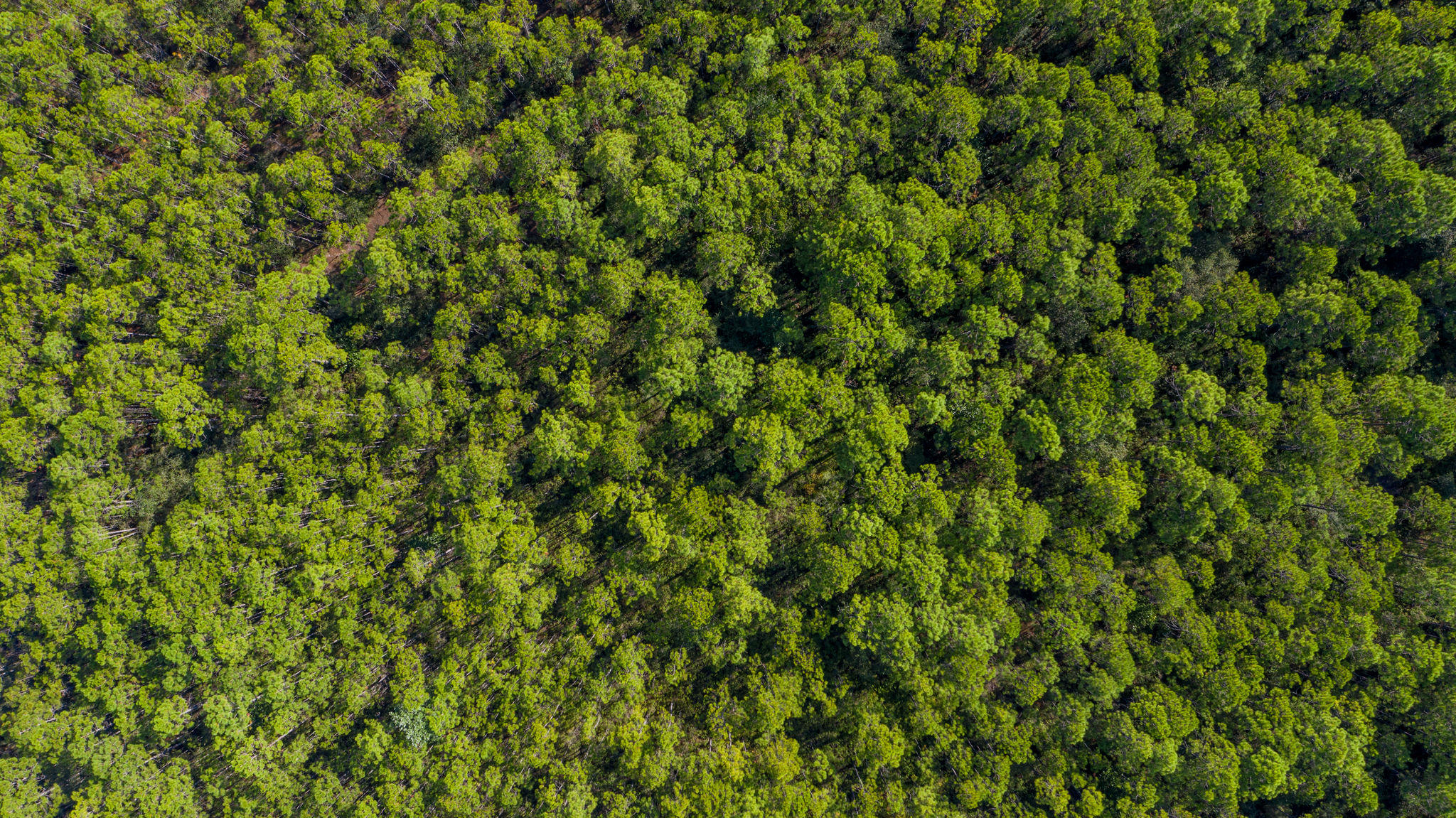 NO RECORDED SUBDIVISION - Land