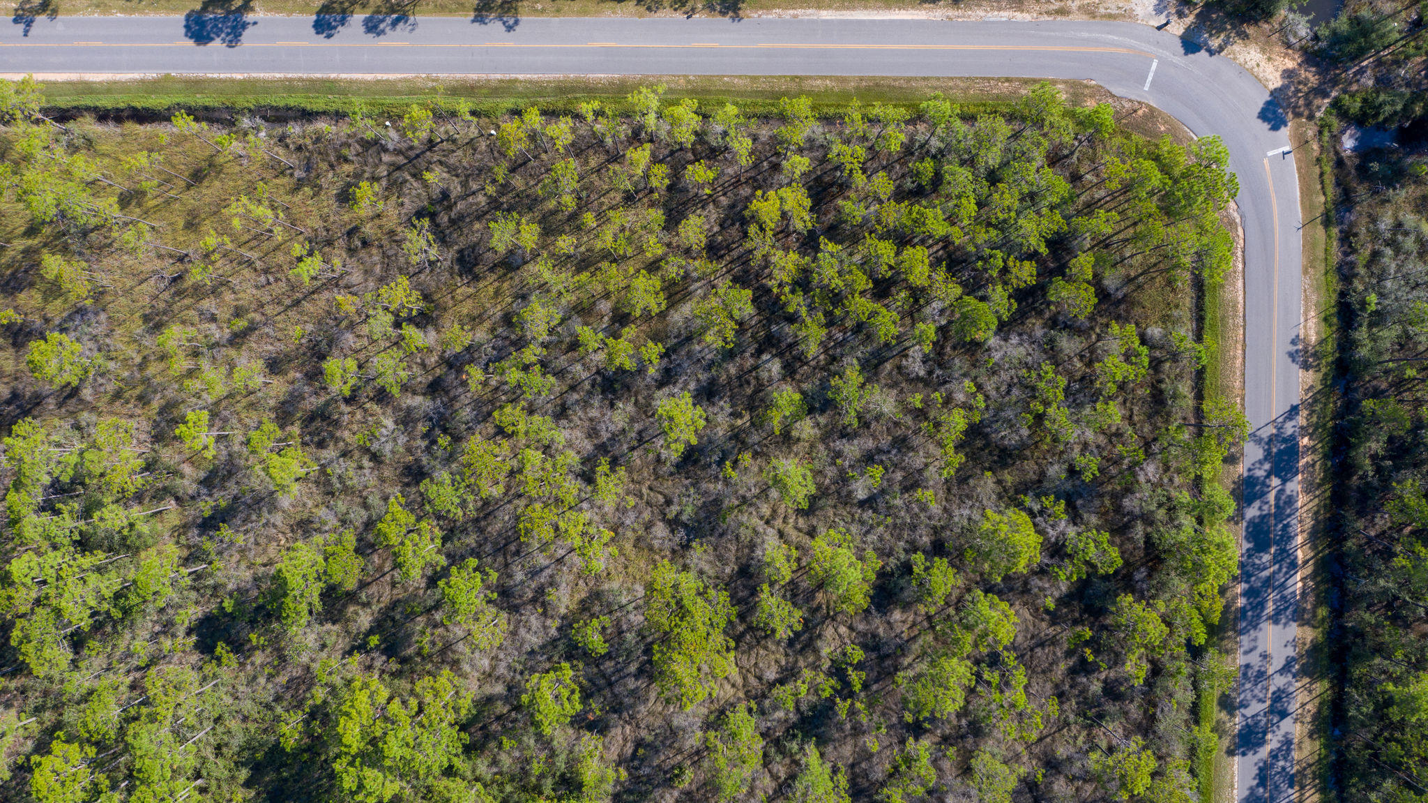 NO RECORDED SUBDIVISION - Land