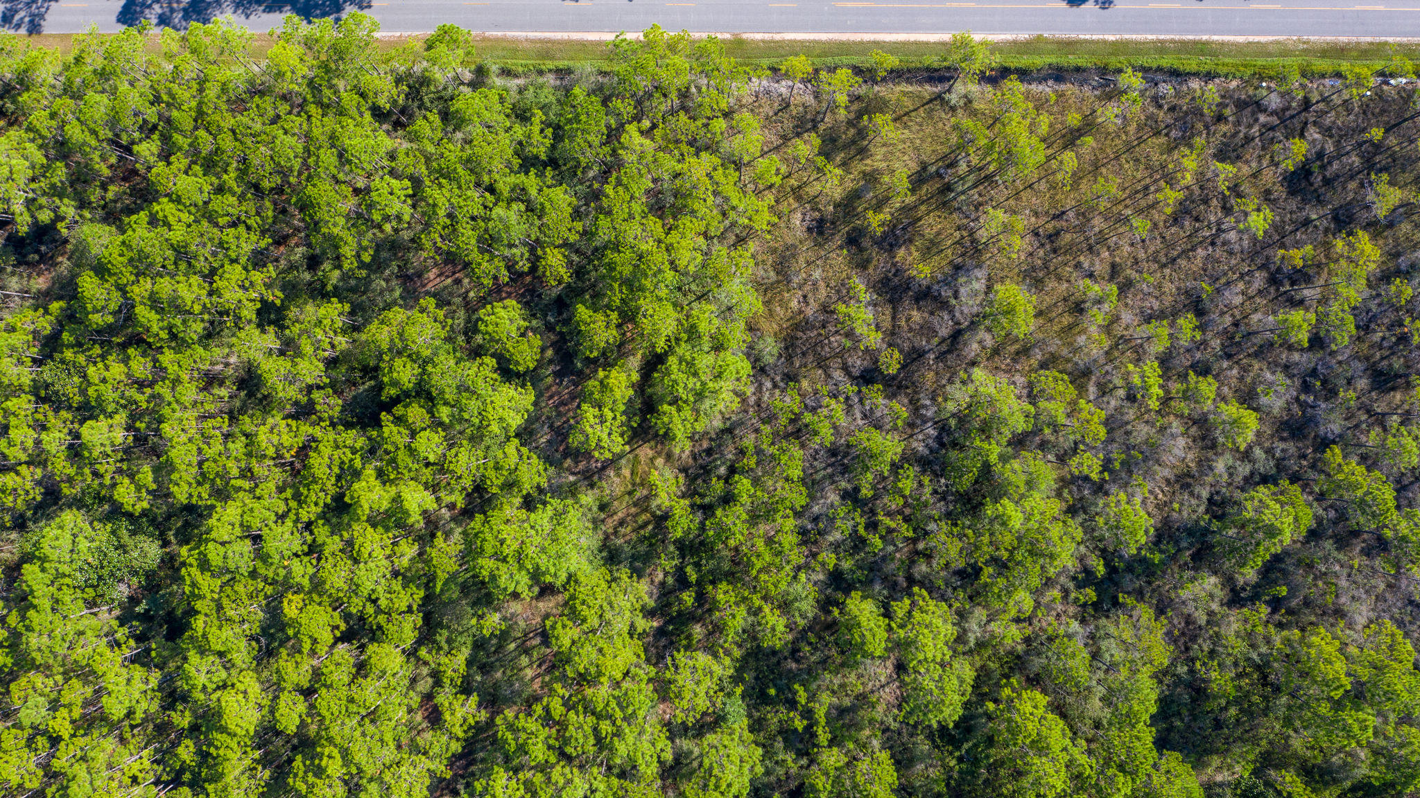 NO RECORDED SUBDIVISION - Land