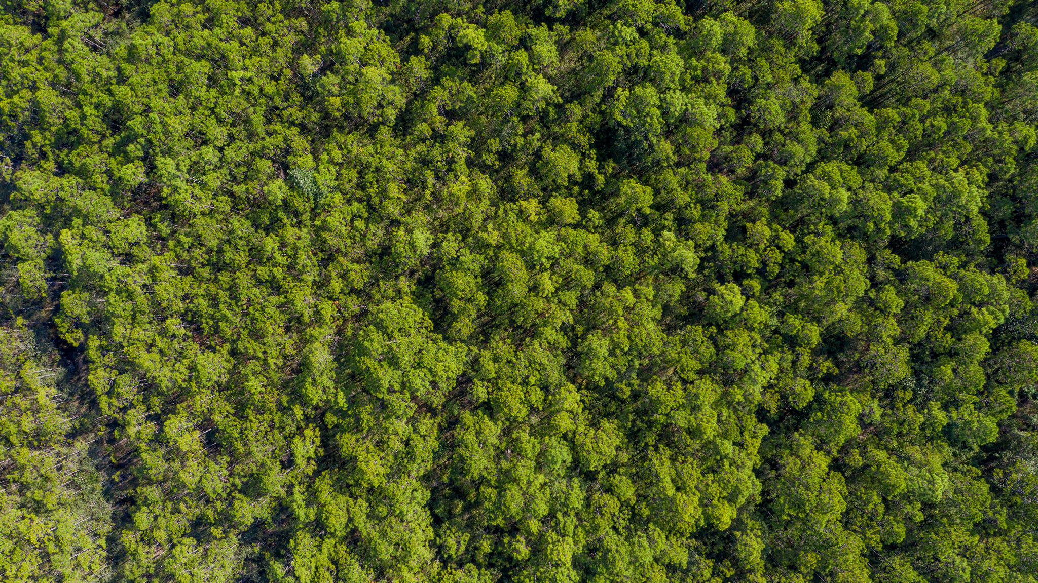 NO RECORDED SUBDIVISION - Land