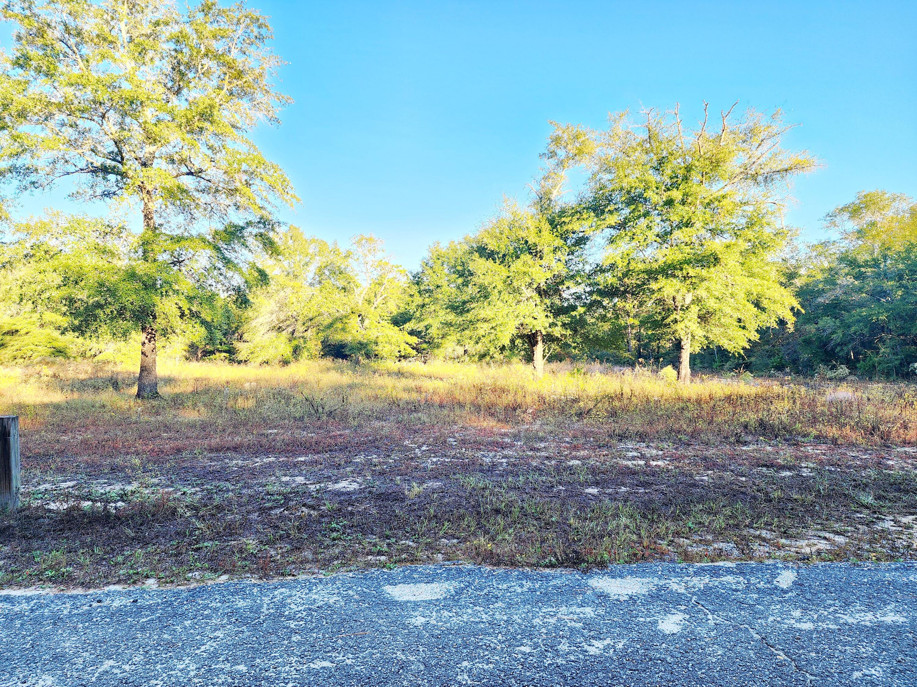 LOCATION..LOCATION!! Need cleared lot with existing Utilities at an excellent value? Look no further, here we have it waiting just for you! Mobile Homes Allowed! No HOA or Restrictions.

This lovely lot with scatter large oak trees has septic large that was once large enough to accommodated (2) mobile homes.  Property is on city water and has existing power pole.  

Property is Flood Zone X. Per the Walton GIS mapping, the property does not appear to have wetlands. 

Buyer needs to verify building codes, zoning regulations, wetlands and flood zones, etc with proper local authorities to ensure buyer will be able to utilize the property for intended use.  Buyer would be responsible for verifying the county would allow (2) mobiles to be placed on the property utilizing the existing septic. The mobiles are no longer existing on this lot.

Information contained within this listing is deemed to be accurate but is not guaranteed.

All dimensions shown are approximately only per CRS Property Data Report. A Survey must be completed to confirm property lines and dimensions.