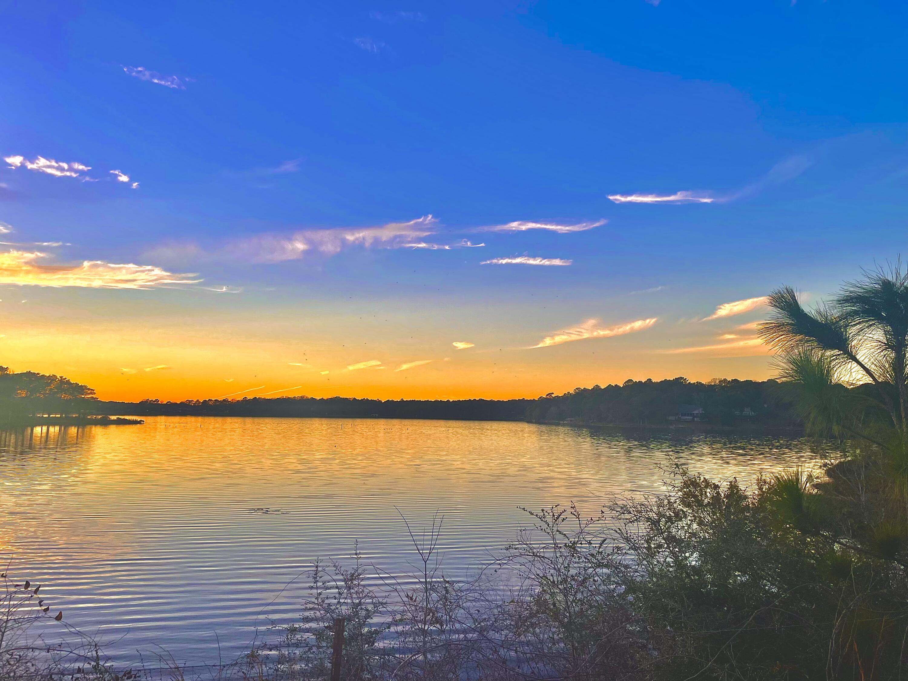 Own a piece of Florida on a lake!  This peaceful wooded property is in the new Seacoast Estates development in DeFuniak Springs. 1.4 acres with 78 feet on the spring fed lake facing West to the water and East into the woods. The land has been developed with water and electric. Gated access to two lakes on some of the best fishing lakes in Florida! This lot is on a small, private street near the historic DeFuniak Springs-voted one of Americas best small towns year after year. Enjoy the best of both worlds, a quiet lake in a quaint town thats only 30 miles from the white sand beaches of the Emerald Coast. Build your family vacation home or your dream home with friendly neighbors who share an association focused on maintaining the beauty of this lake development.