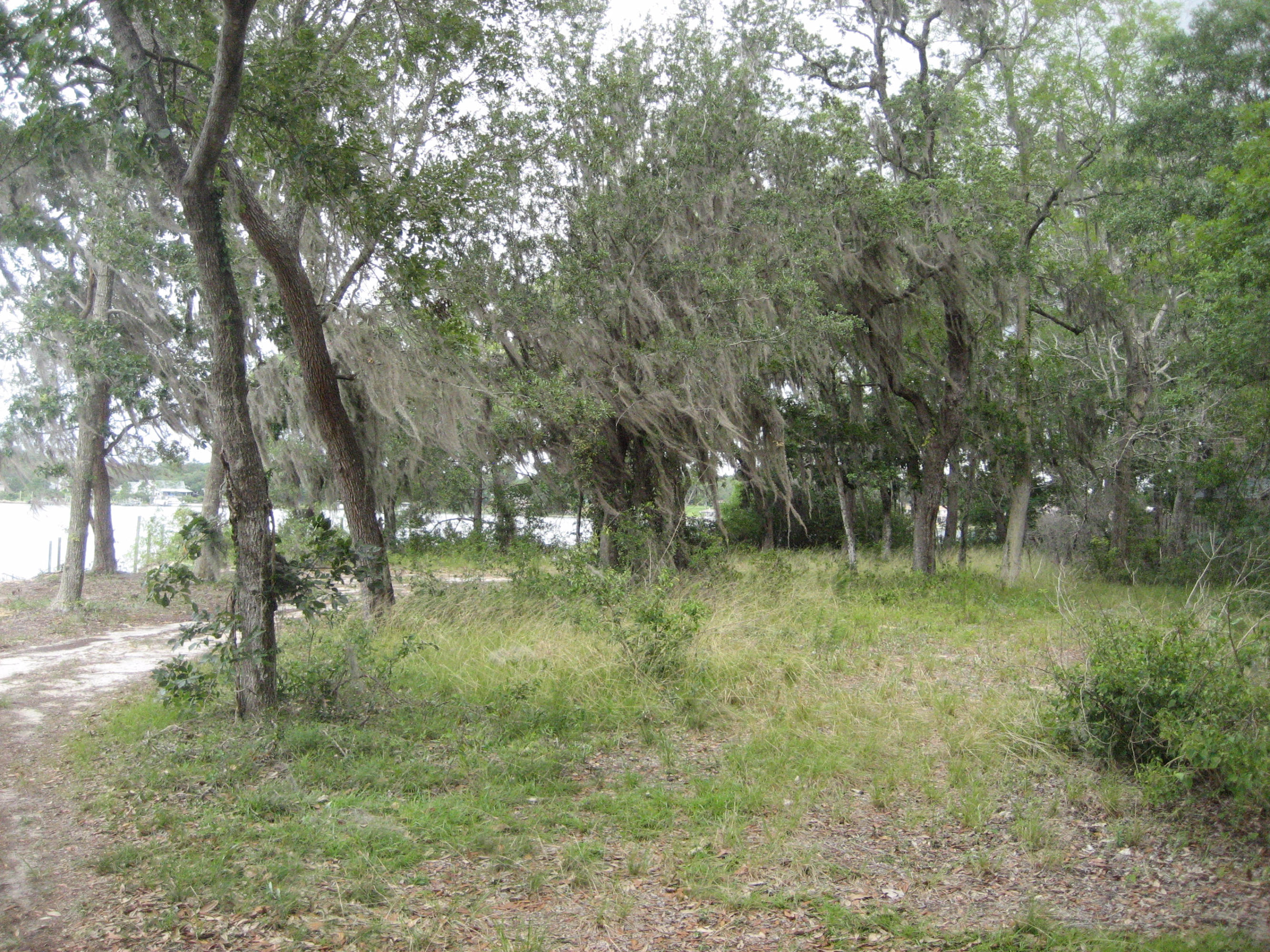 WOODLAND SHORES - Land