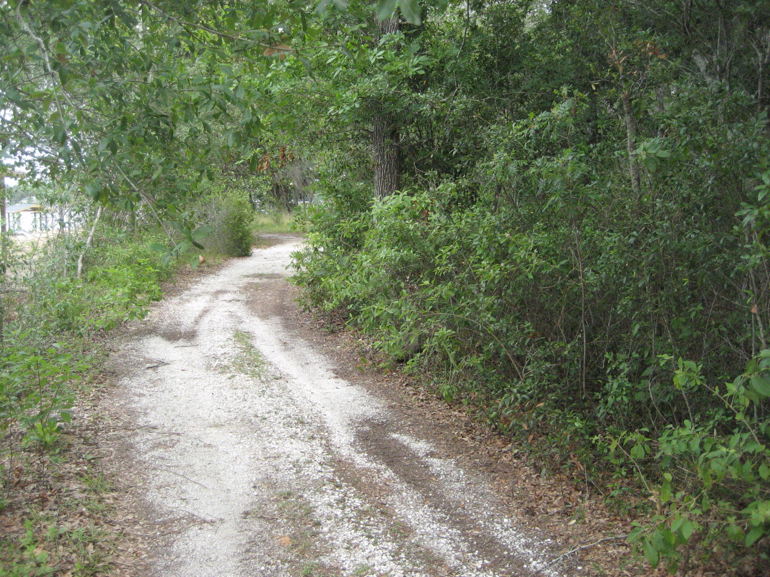 WOODLAND SHORES - Land