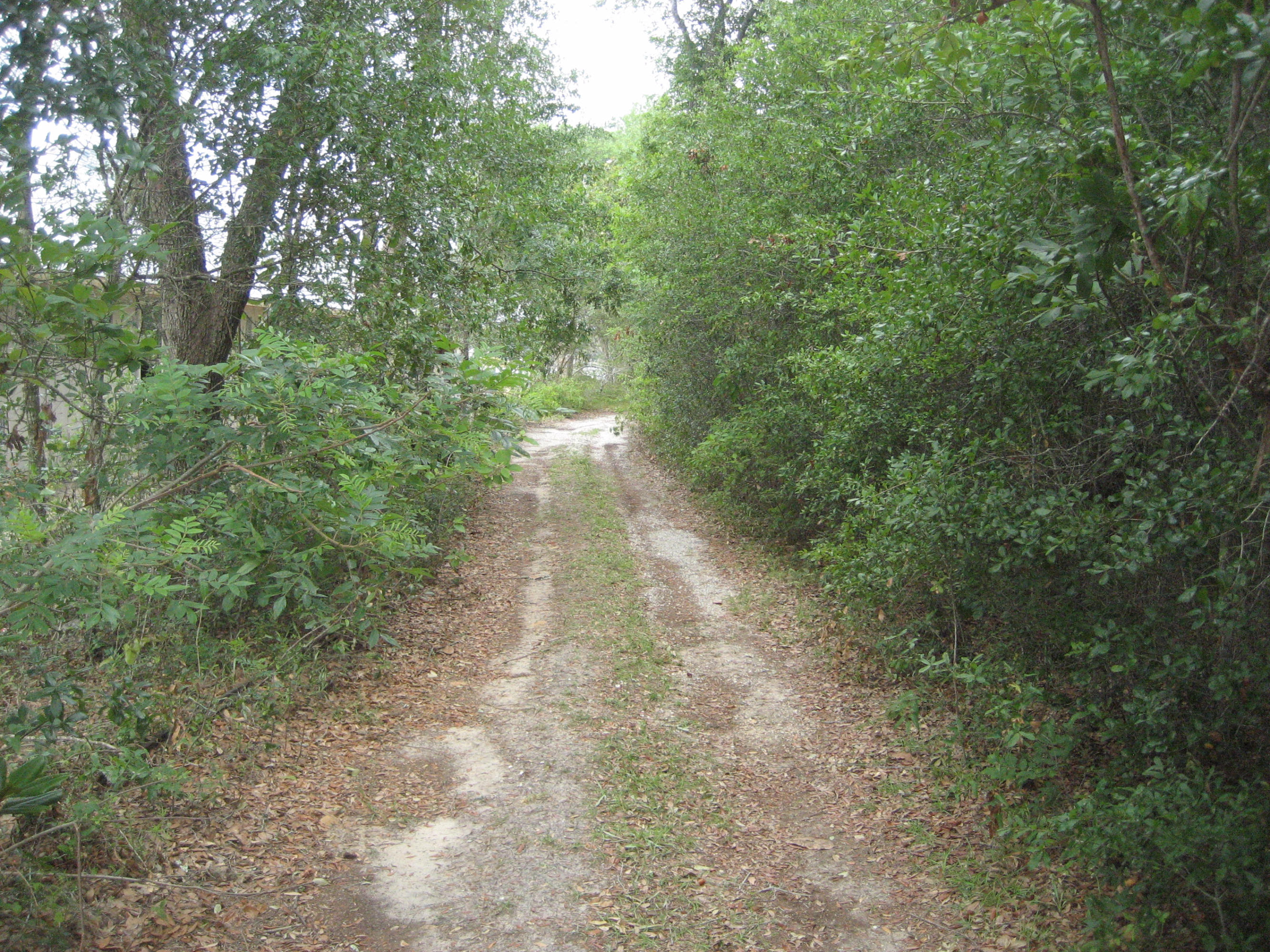 WOODLAND SHORES - Land