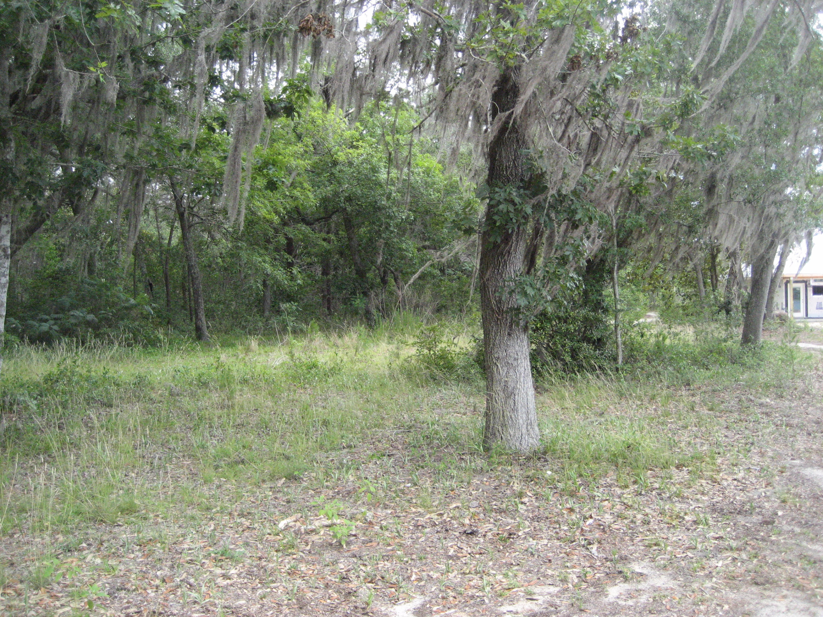 WOODLAND SHORES - Land