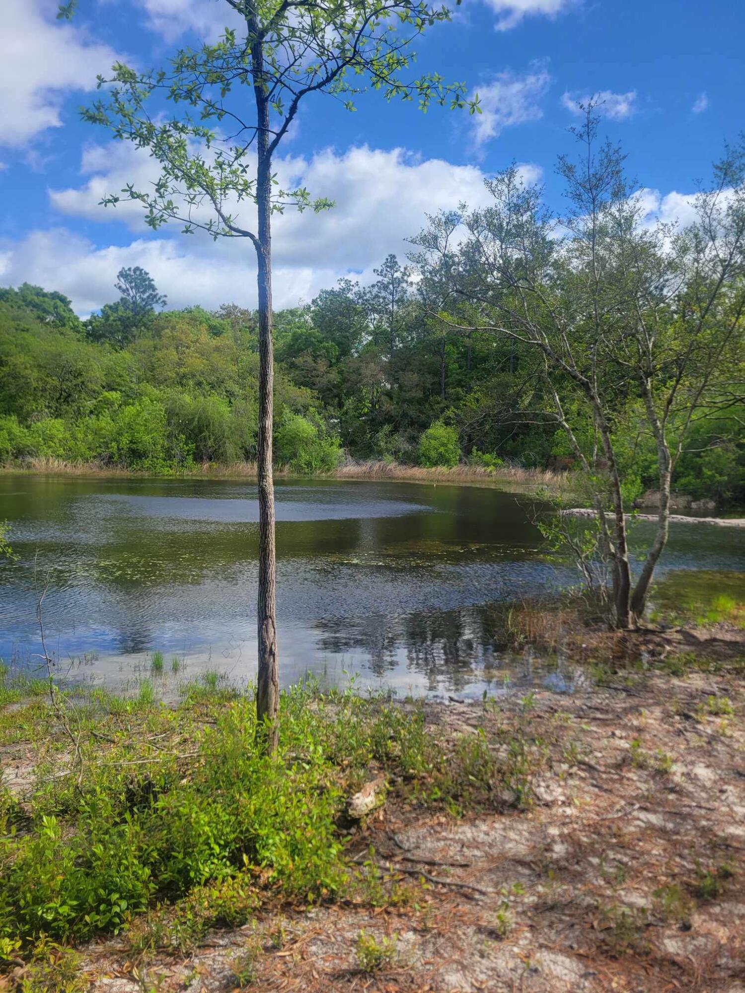 THIS IS A BEAUTIFUL LOT TO BUILD YOUR DREAM HOME ON! PAVED ROAD