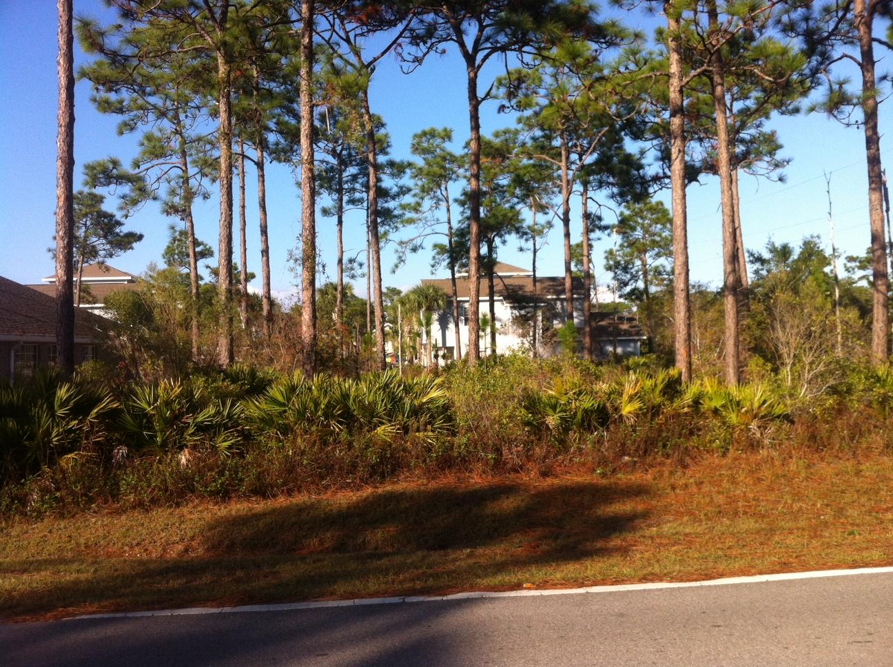 This great plot is on the corner and is bigger than most in the subdivision. Great location , neighborhood boat ramp, no HOA. The Bay is close by and the famous Beaches of 30A are a short drive away. Plenty of shopping near by as well.1/57 interest in access to Mack Bayou and lake on plot 8&9 . Buyer to confirm all information and to determine the lands suitability for buyers needs.
