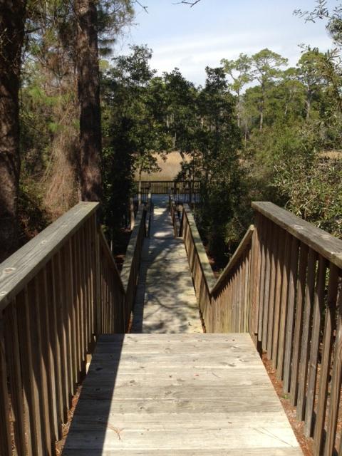 Preserve at Inlet Beach - Land