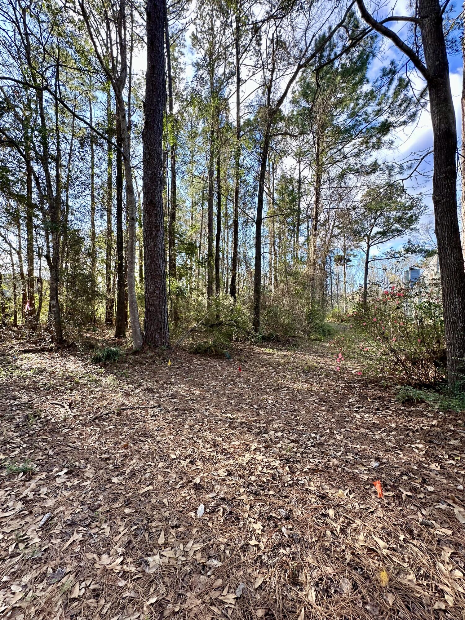 FOXWOOD ESTATES 1 - Land